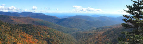 Buck Ridge Lookout