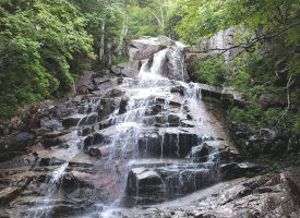 Cloudland Falls