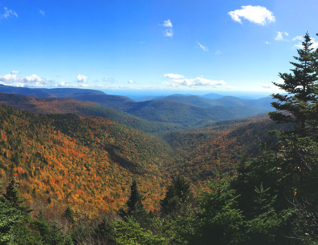 Buck Ridge Lookout