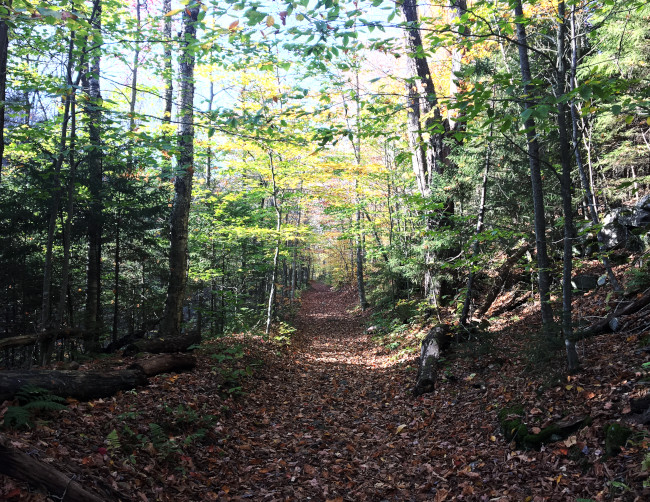 Diamond Notch Falls