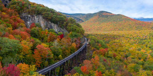 Scenic Railway