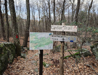 Cedar Trail