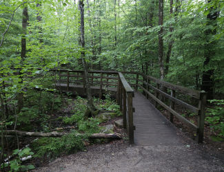 Wooden Bridge