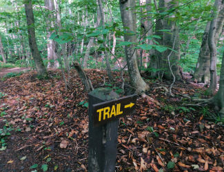 Level Trail