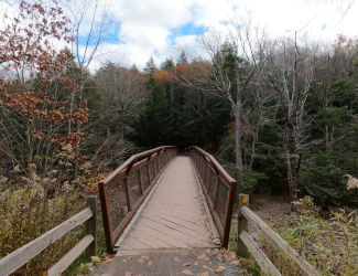 Bridge Over Spruce Creek