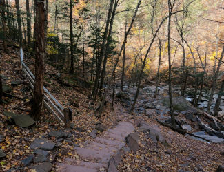 Stairs To Lower Falls