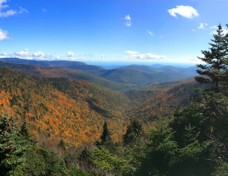 Buck Ridge Lookout