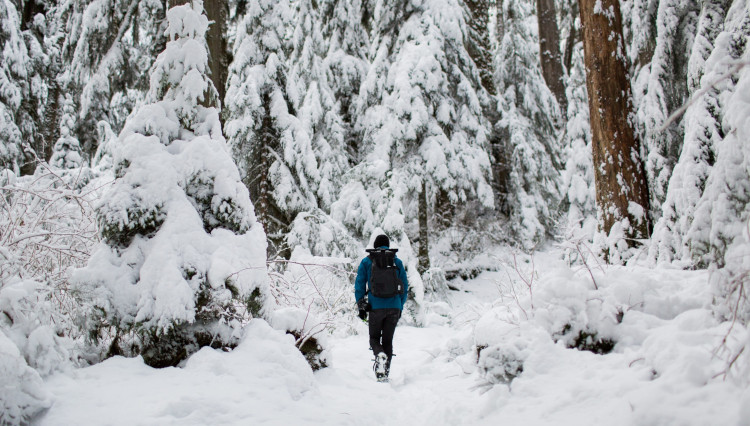 Winter Hiking